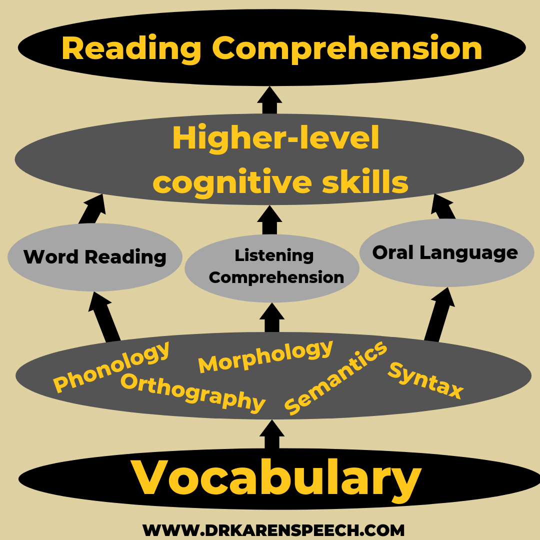 simple view of reading; language therapy 