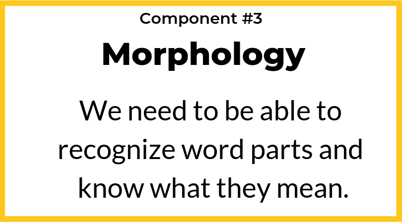 morphology-language-disorders